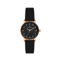 Daniel Klein DK14317-4