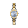 Daniel Klein DK14319-5