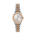 Daniel Klein DK14319-6