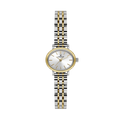 Daniel Klein DK14380-5