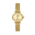 Daniel Klein DK14381-3