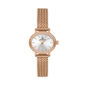 Daniel Klein DK14381-6