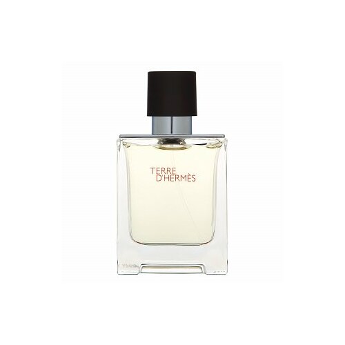 Hermes Muška toaletna voda Terre d'EDT 50ml