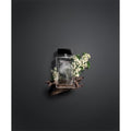 Narciso Rodriguez Ženska toaletna voda, 50ml