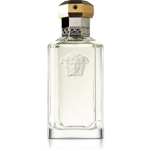 Versace Muška toaletna voda The Dreamer 100 ml